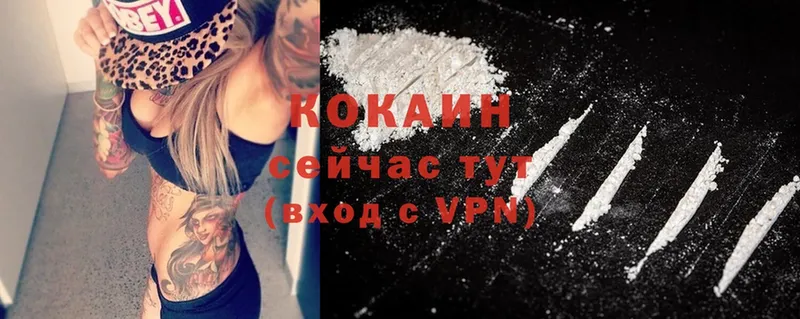 закладка  Игра  Cocaine FishScale 